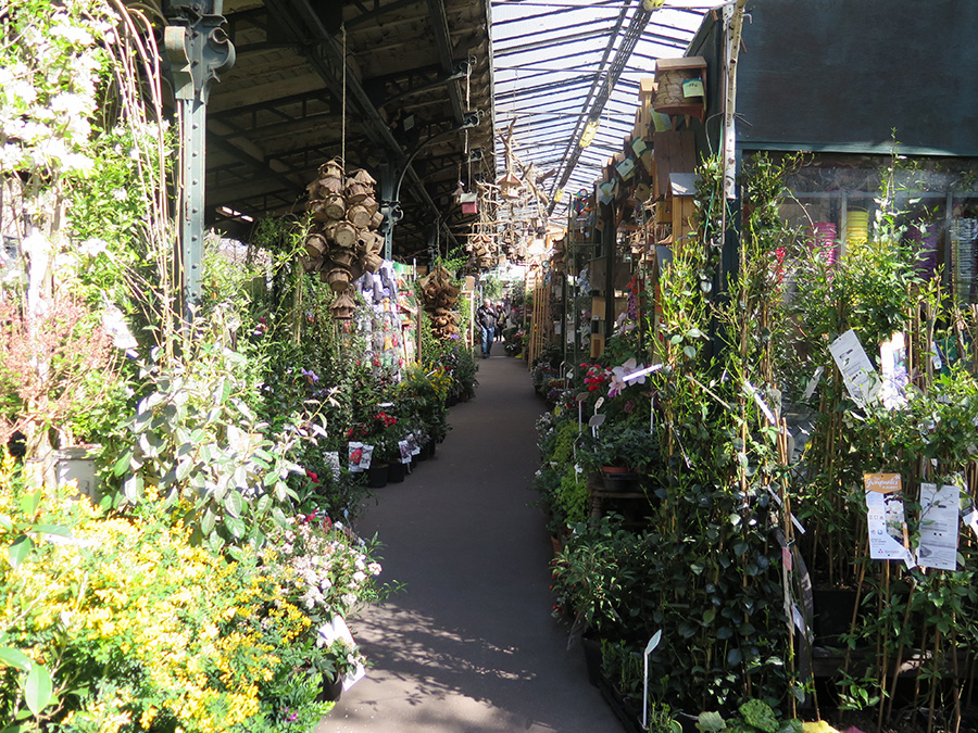 Le Marché aux Fleurs de nos jours